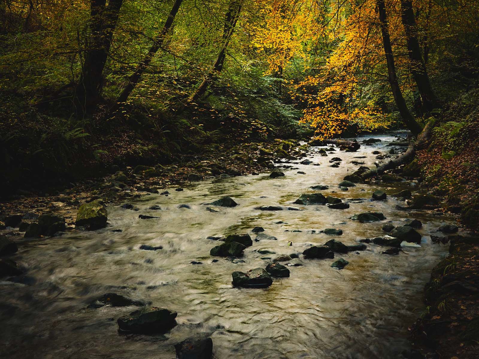 Colins Glen, Belfast