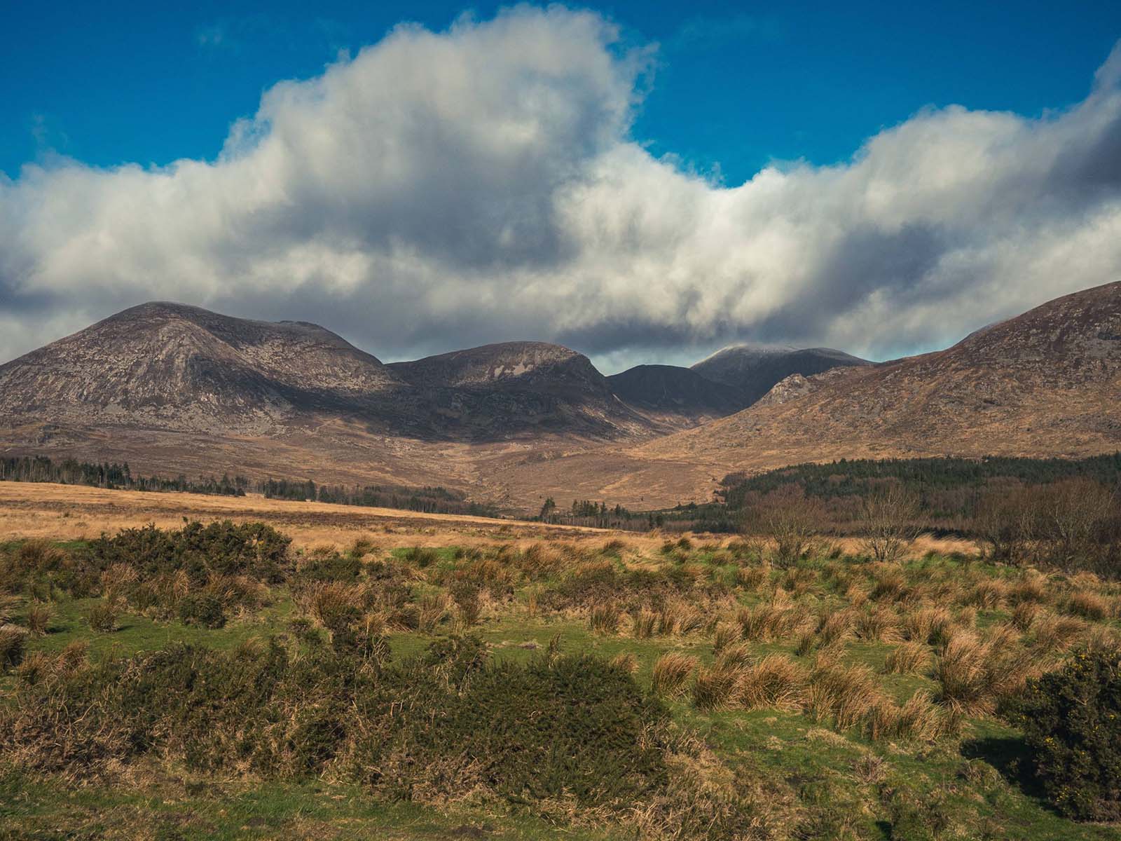 the Mourne Mountains County Down