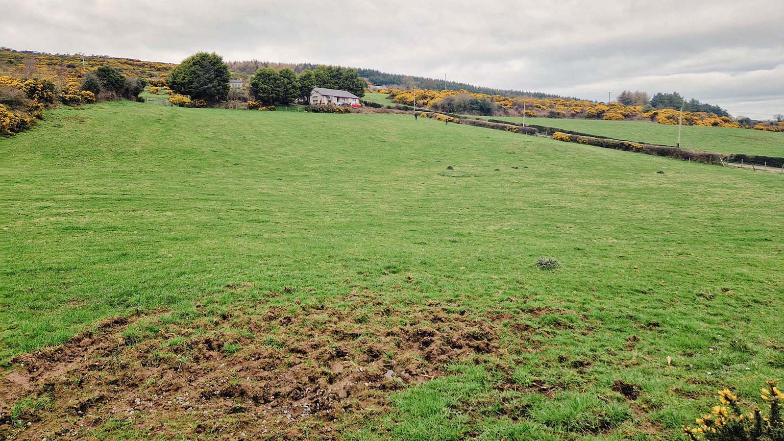 The Barony Orchard Project - Castlemahon Farm