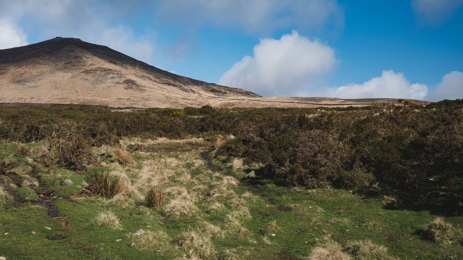 Rewilding the Kingdom of Mourne