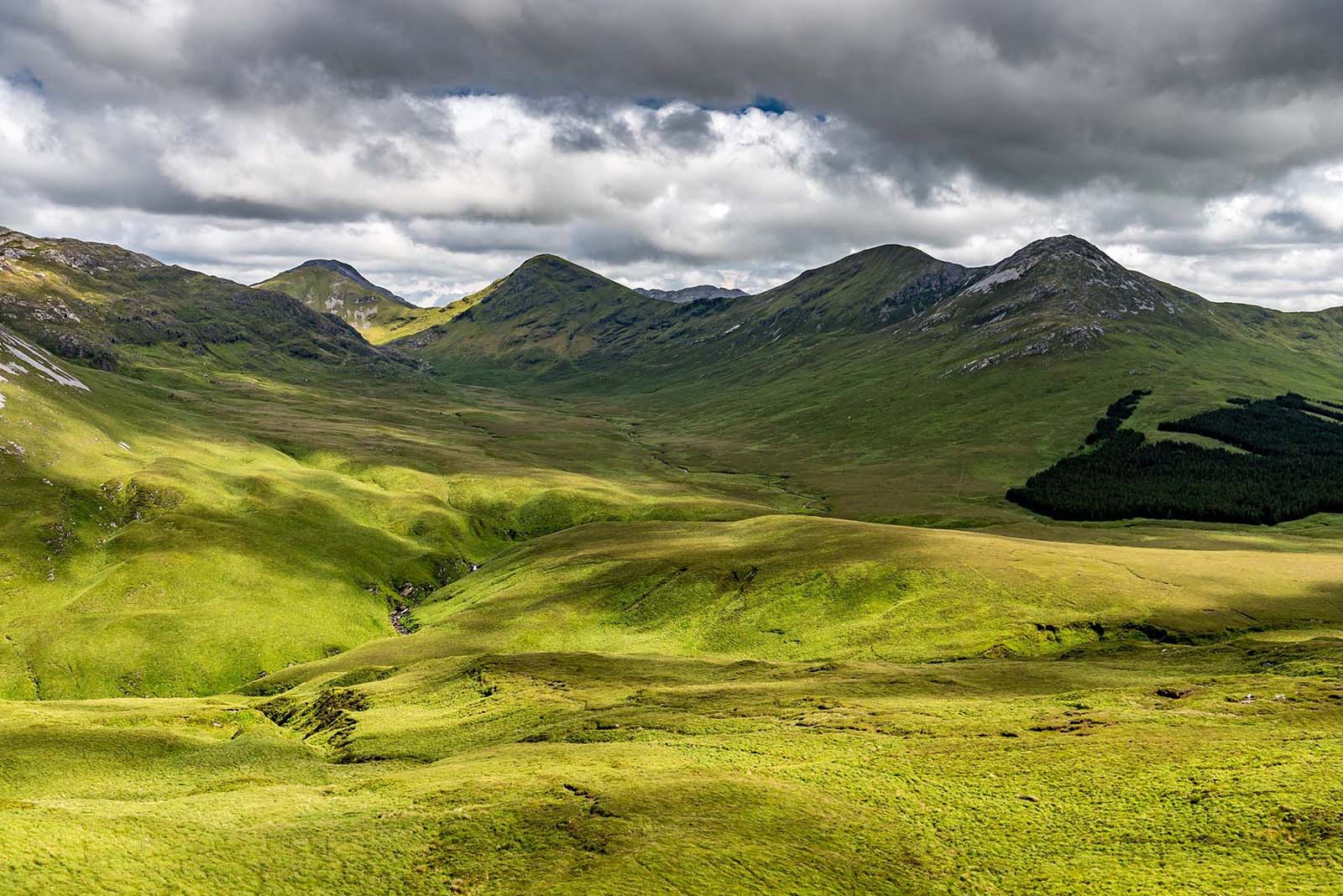 Large-scale Arable Rewilding Project